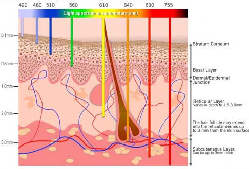 Introducing the SPECTRUM: the powerful IPL laser device! IPL (Intense  Pulsed Light) laser is a type of light therapy that uses a broad sp