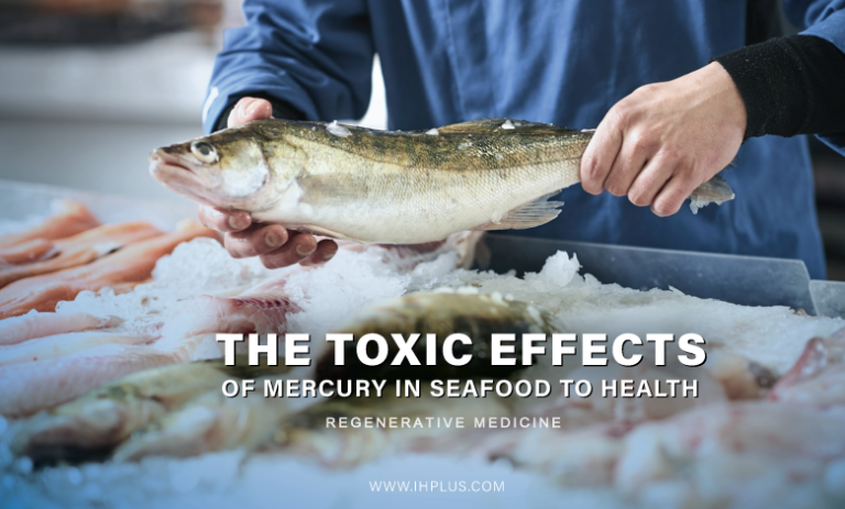 Gli effetti tossici del mercurio nei frutti di mare sulla salute